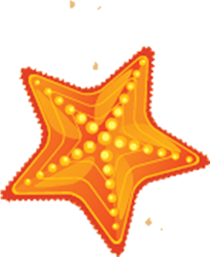 Starfish Sea Beach - Starfish Sea Beach (600x600)