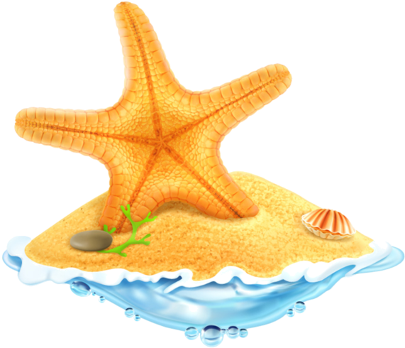 Beautiful Starfish Png (600x615)