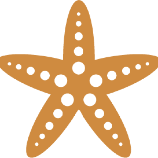 Cropped Starfish Star - Starfish (512x512)
