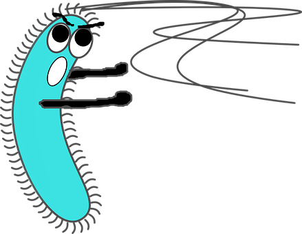 Germ, Virus, Bacteria, Infection - Bacteria Clipart (439x340)