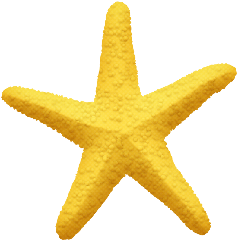 Starfish Pentagram Yellow Five Pointed Star - Starfish Pentagram Yellow Five Pointed Star (789x800)