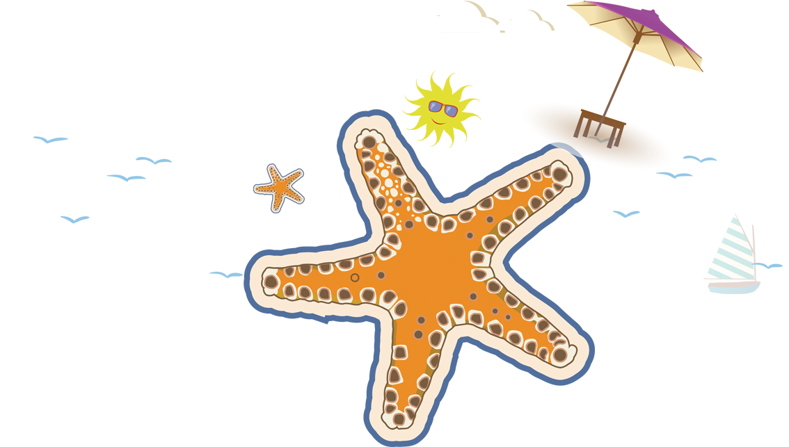 Cartoon Starfish Decoration 1133*688 Transprent Png - Cartoon Starfish Decoration 1133*688 Transprent Png (1133x688)