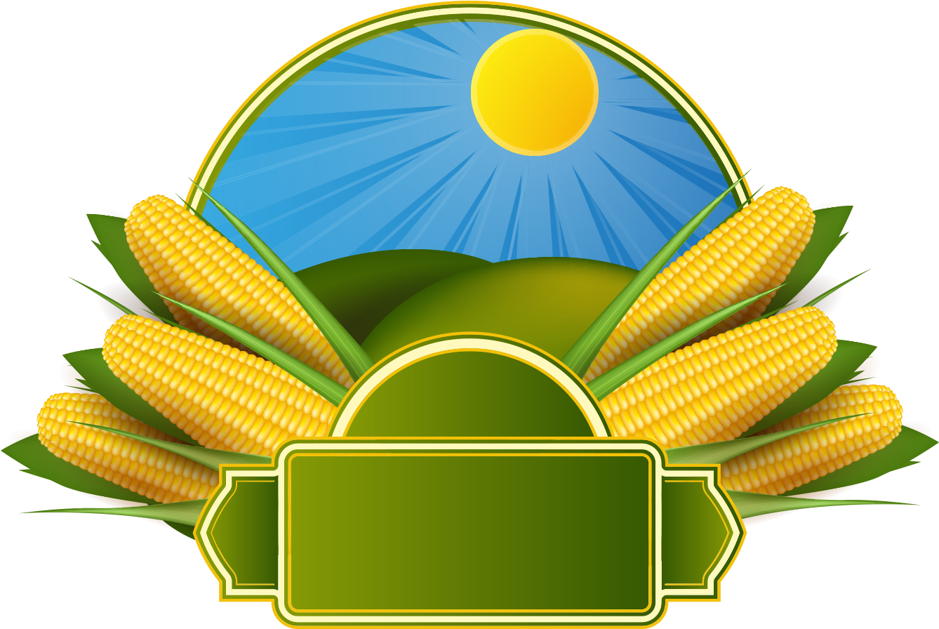 Corn On The Cob Maize Corncob Clip Art - Corn Clip Art (1397x960)