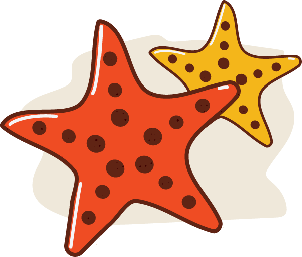 Starfish Tourism Clip Art - 海星 Png (601x511)