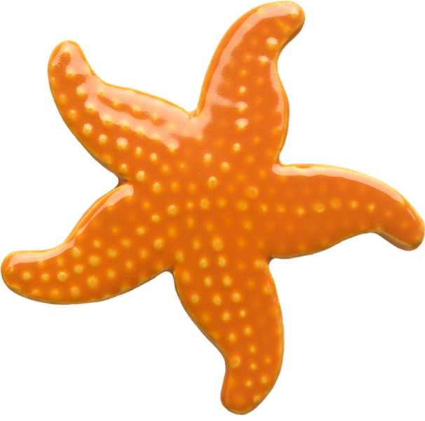 102or 5" Starfish-orange Ceramic Pool Mosaic - Star Fish Clip Art (606x600)