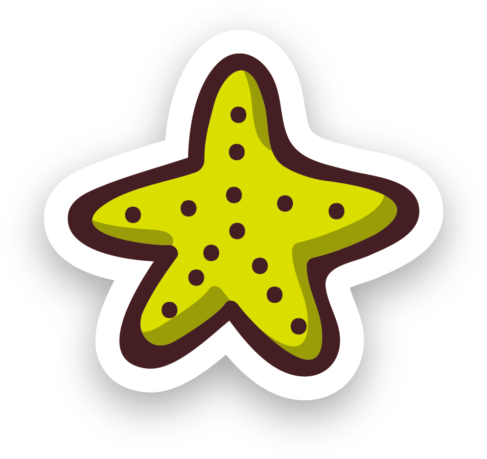 Starfish Yellow Cartoon - Starfish Yellow Cartoon (1006x950)