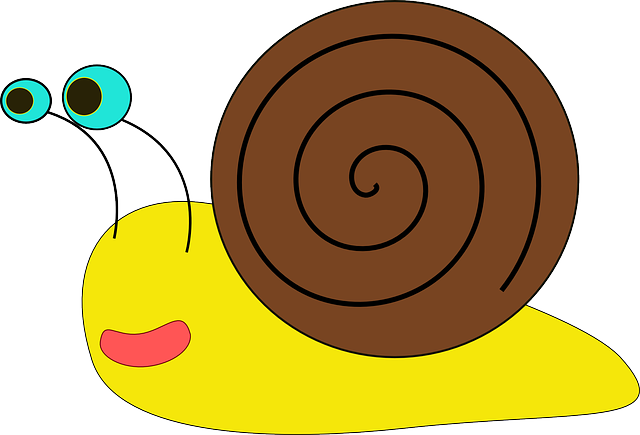 Cartoon, Free, Funny, Cute, Snail, Shell, Reptile - Snail Clip Art (640x435)
