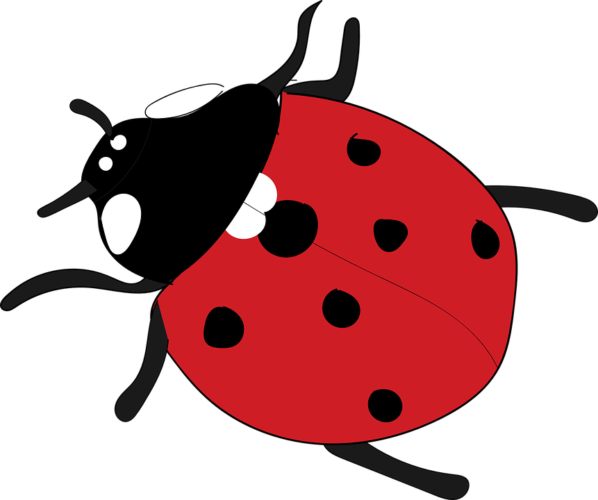 Baby Ladybug Cliparts 15, Buy Clip Art - Rojo Animal (861x720)