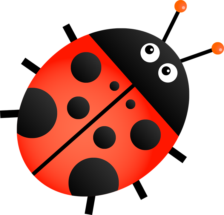 Baby Ladybug Cliparts 13, Buy Clip Art - Ladybug Clipart Transparent Background (750x720)