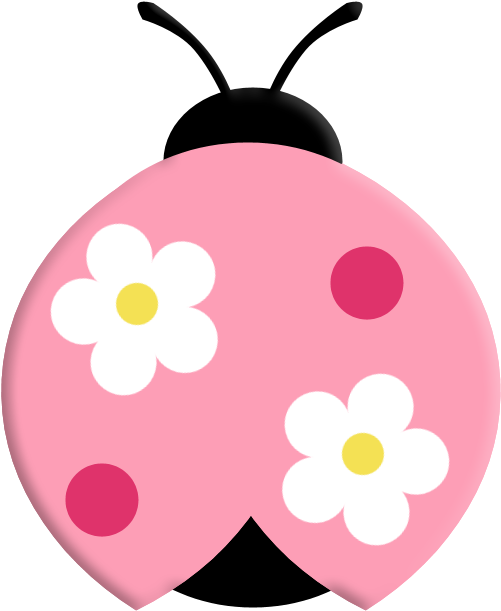 Borboletas & Joaninhas E Etc - Ladybird Beetle (600x750)