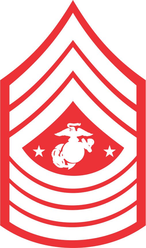 E-9 Sergeant Major Of The Marine Corps - Sergeant Major Of The Marine Corps Insignia (507x859)