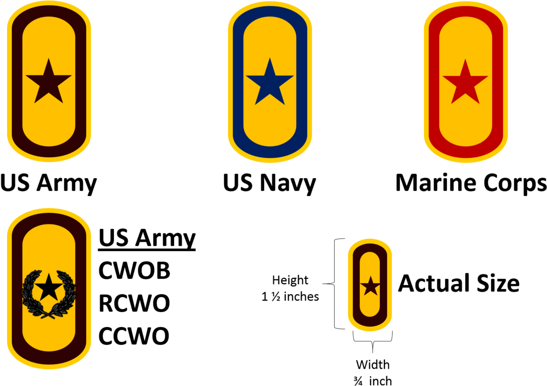 And The Expanded Use Of Our Most Senior Warrant Officers - Rallypoint (1173x800)