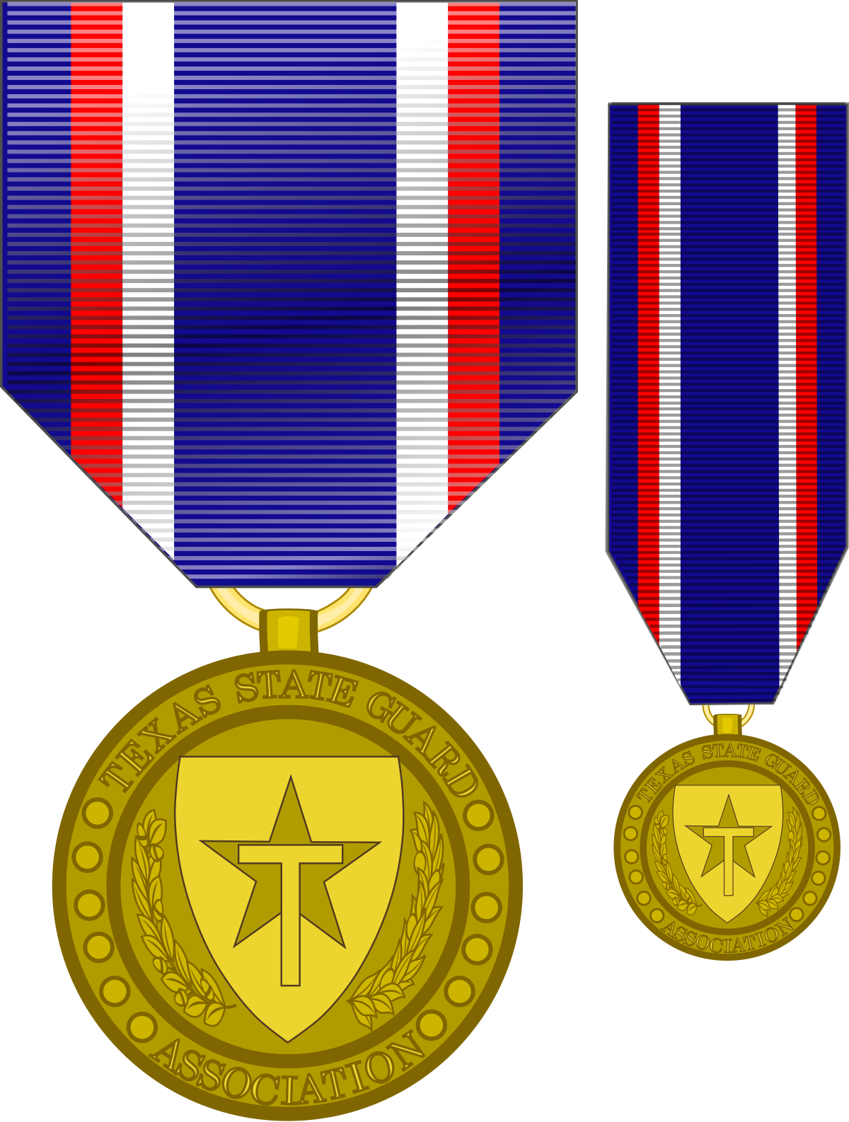 Former Texas State Guard Association Medal (1200x1586)