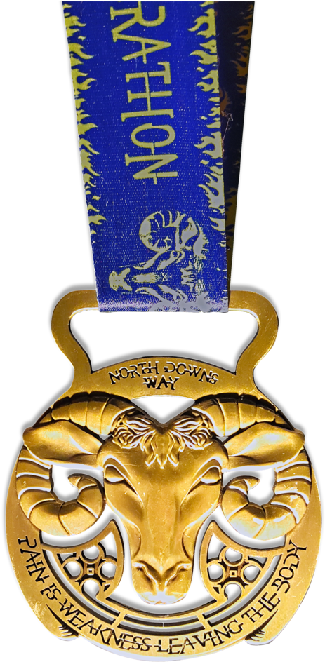 Horse Brass, Bespoke Horse Brass, Huge Medal, Giant - Emblem (504x1008)