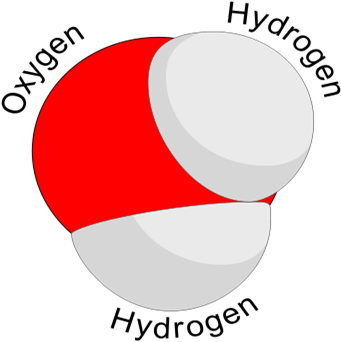 Water Molecule - Water Molecule (350x360)