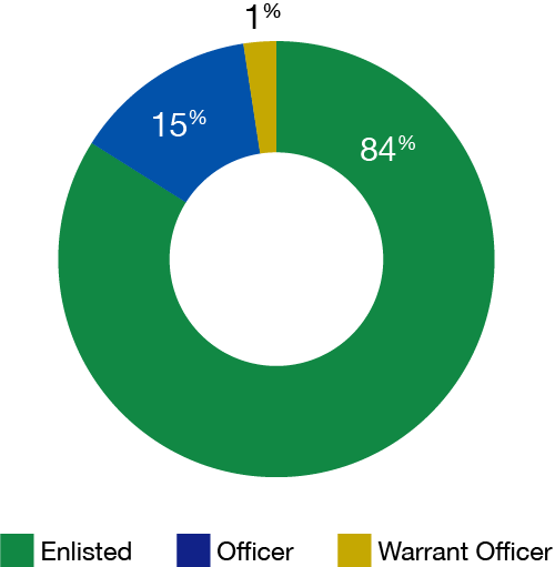 Military Workforce Structure - Circle (500x511)