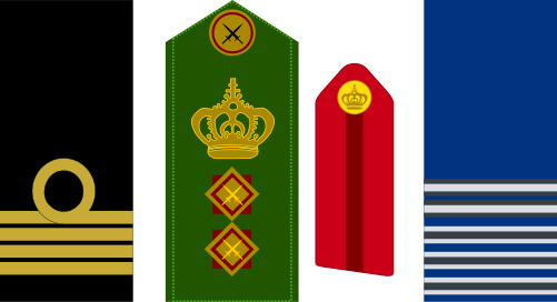 6-officerranks - Emblem (501x272)