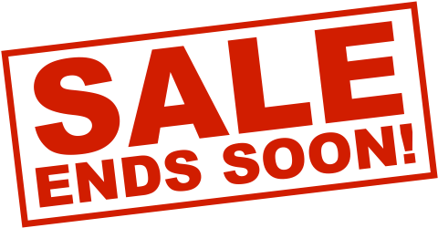 Only 2 Weeks Left To Save $20 On Our Fast Pass - Sale End Soon (500x250)