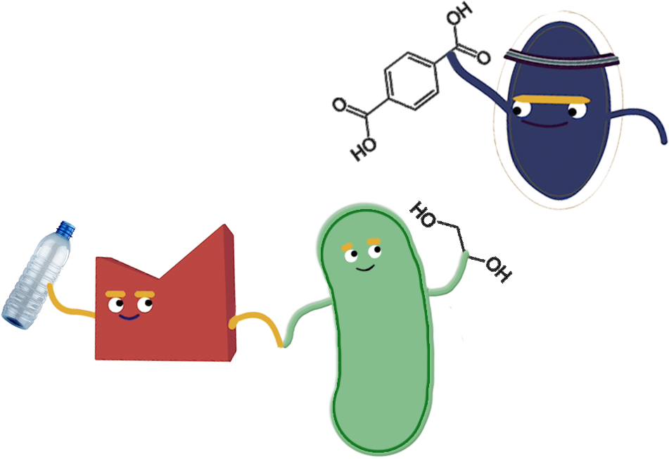 Next, We Wanted To Fully Degrade The Resulting Monomers - Next, We Wanted To Fully Degrade The Resulting Monomers (1000x700)