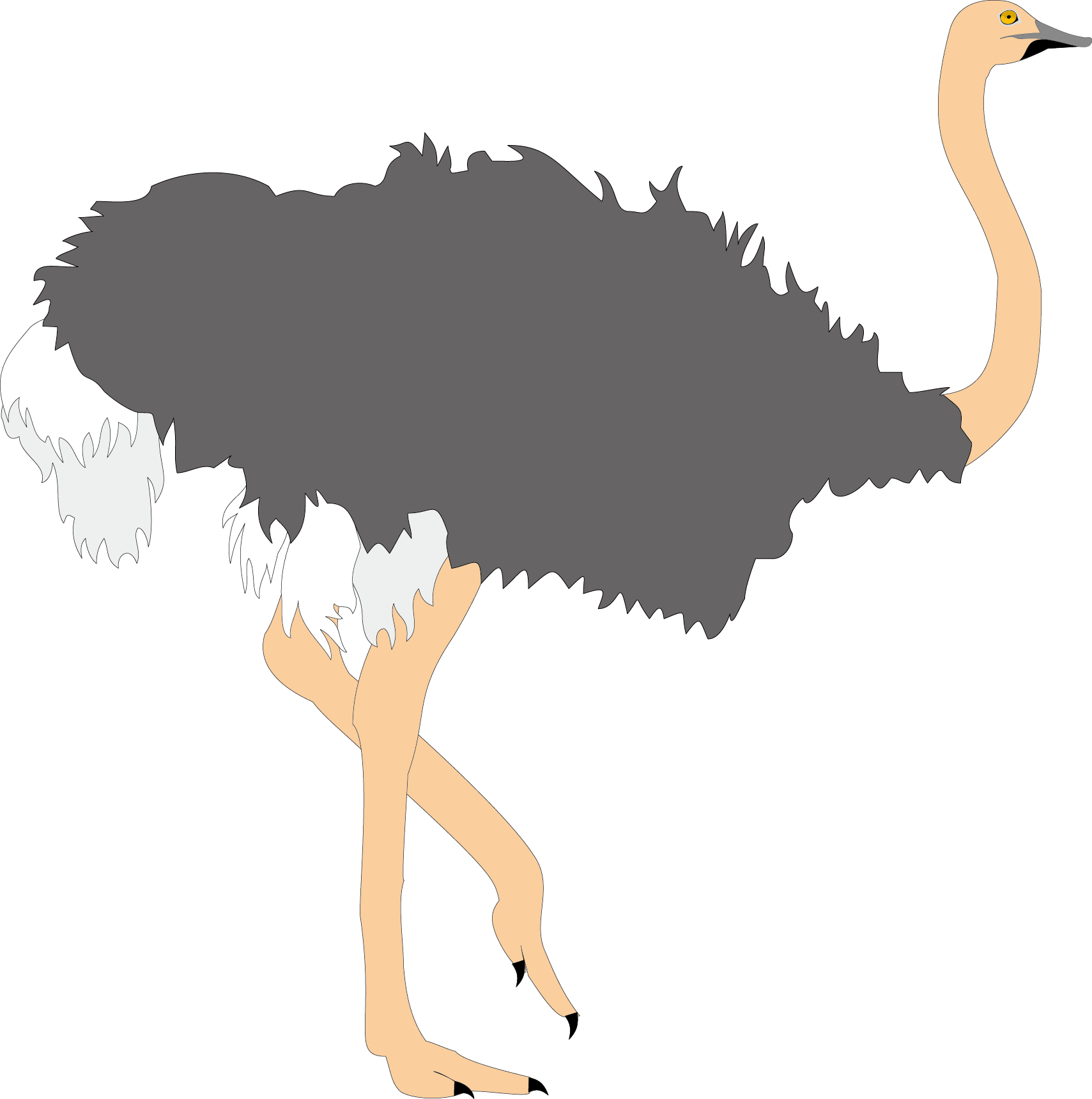 Common Ostrich Bird Clip Art Ugly Ostrich 1709 1720 - Common Ostrich Bird Clip Art Ugly Ostrich 1709 1720 (1709x1720)