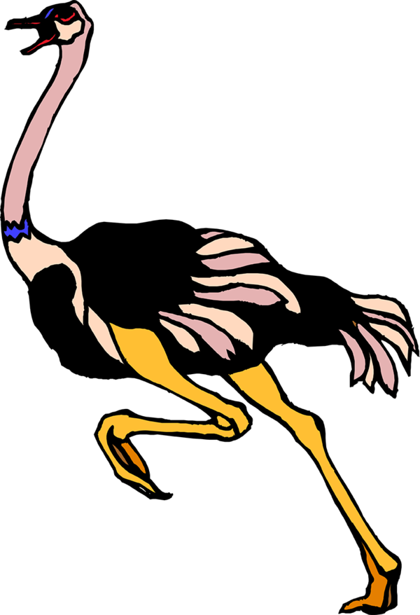 Publicat De Eu Ciresica La - Common Ostrich (600x878)