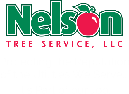 Nelson Tree Service Logo (572x335)