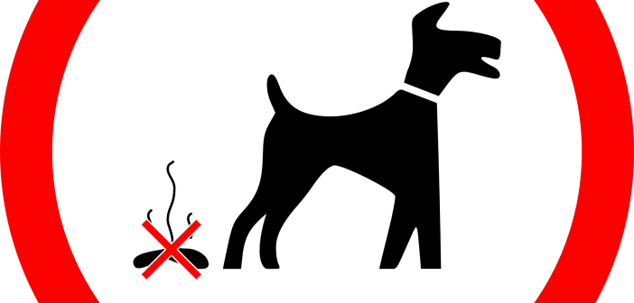 Why Does My German Shepherd Eat His Or Her Poop 7 Reasons, - Dog Fouling Signs (702x336)