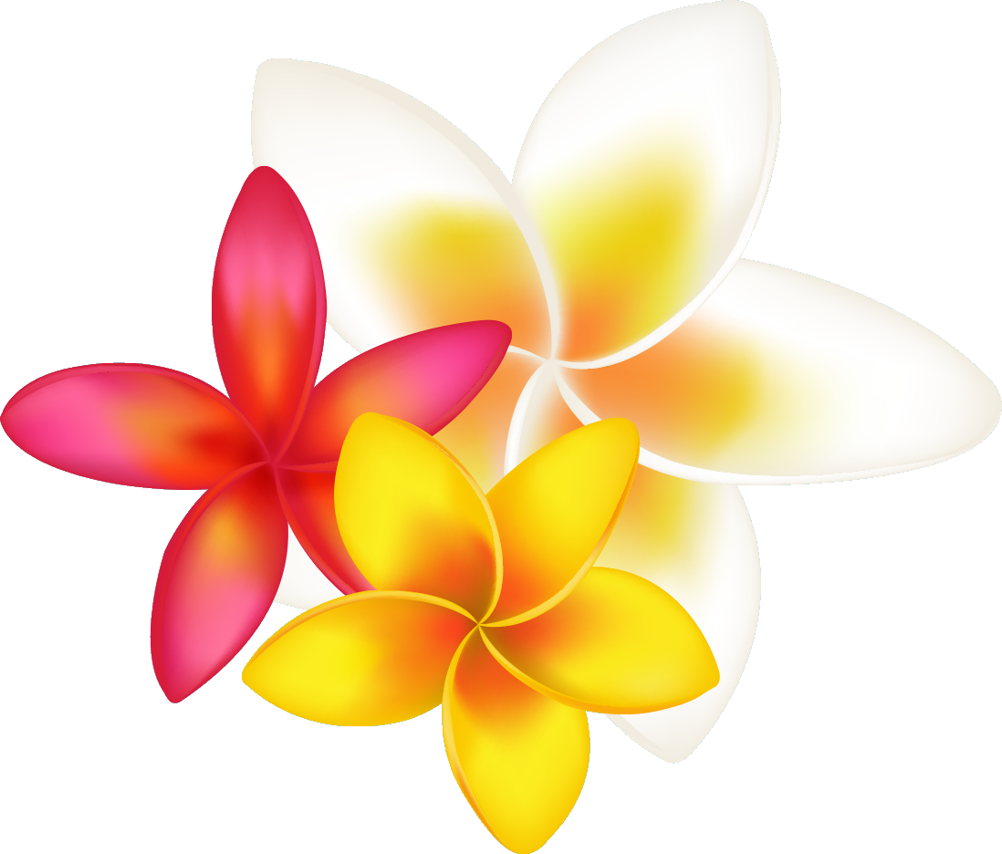 Image - Tropical Flower Clipart Png (1098x936)