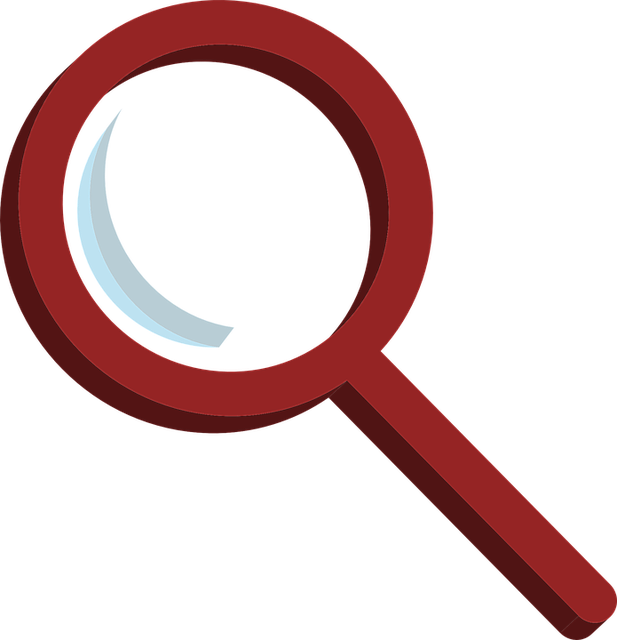 Detail Work - Magnifying Glass Vector Red (695x720)