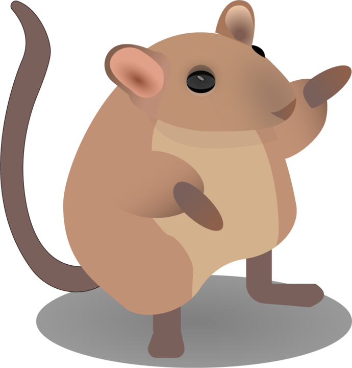 Add Your Finished Buncee To Seesaw - Rat (690x720)