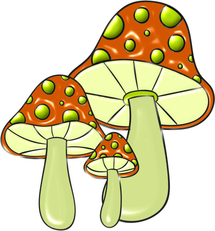 Hongos-08 By Bbvzla - Fungus (853x937)