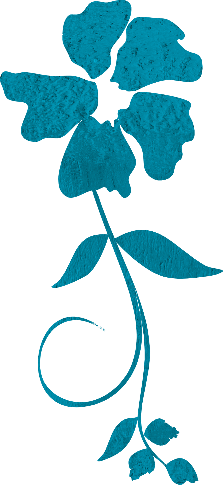 My Work's Gallery - My Work's Gallery (885x1920)