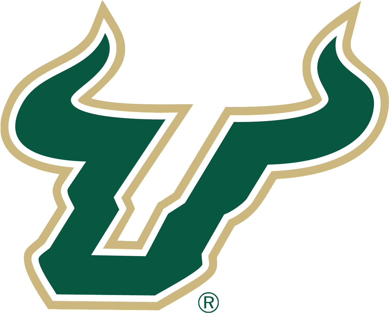 As A Sports Program, Their Marching Band Is Good, They - University Of South Florida (1380x1100)