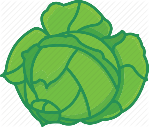 Cabbage Clipart Ball Pencil And In Color Cabbage Clipart - Vegetable (512x437)