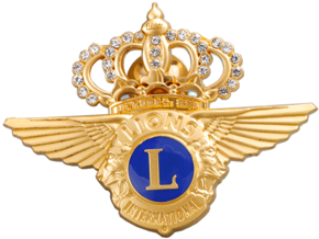 Wholesale Custom Enamel Military Sheriff Star Pin Badge - Badge (350x350)