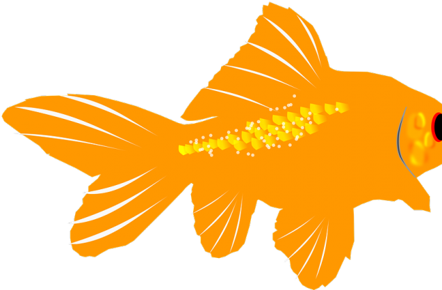 Fish Tank Clipart Orange Goldfish - Aquarium (640x480)