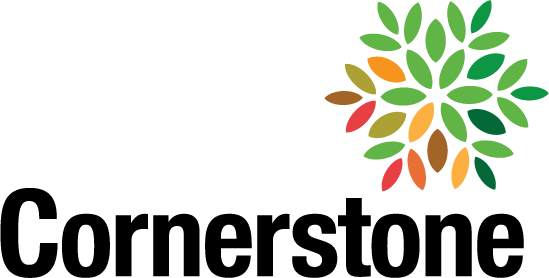 A Monthly Insight Into Cornerstone Solutions Group - Google Adwords (549x278)