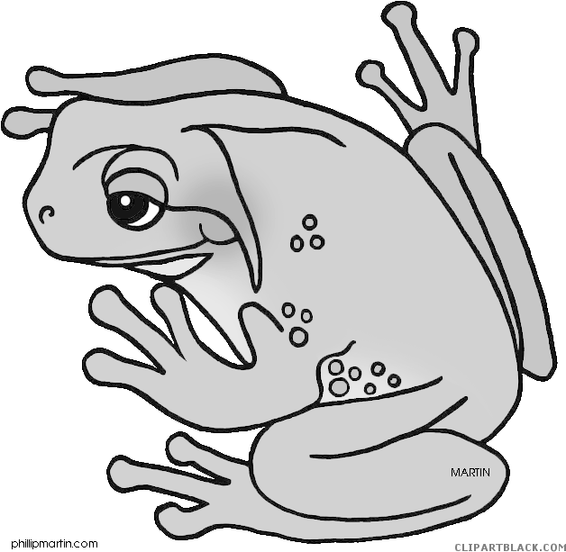 Grayscale Frog Animal Free Black White Clipart Images - Frog (648x638)