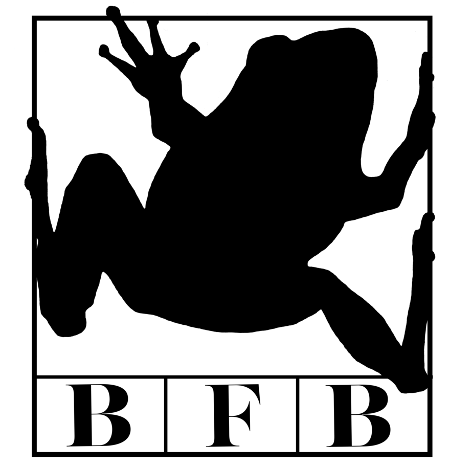 Frog Black And White Clipart (1000x912)