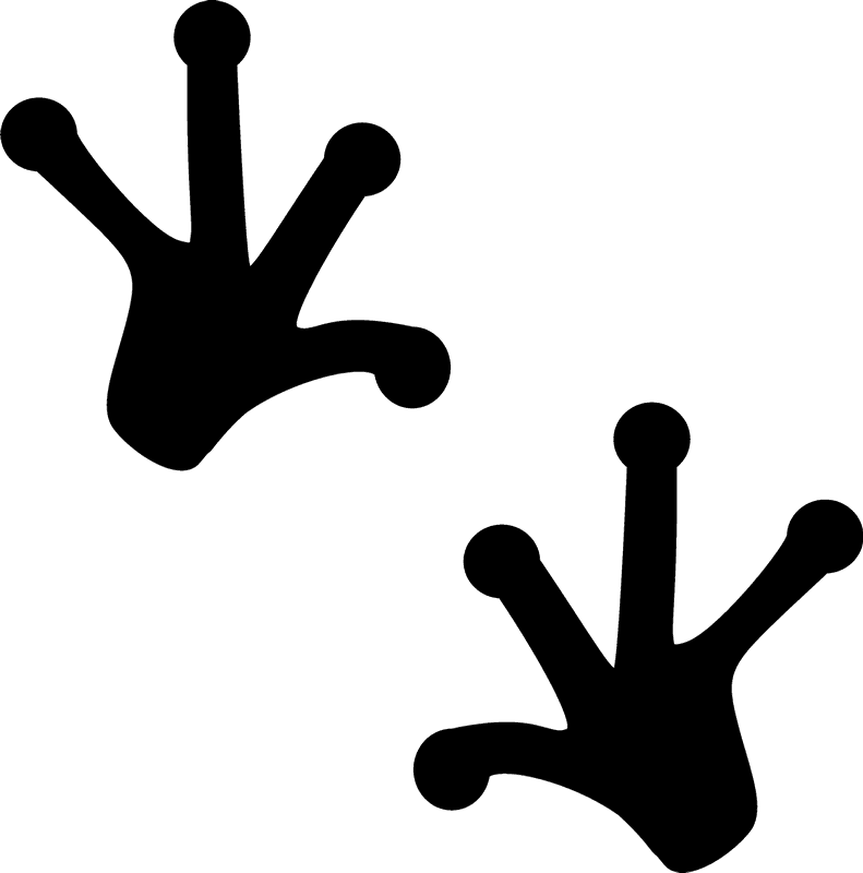 Frog Tracks Rubber Stamp - Frog Tracks (791x800)