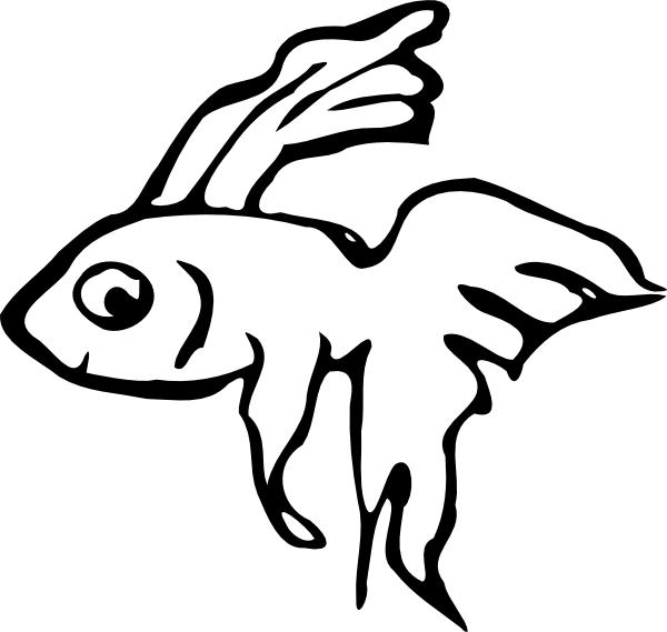 Gambar Ikan Hias Hitam Putih (600x569)