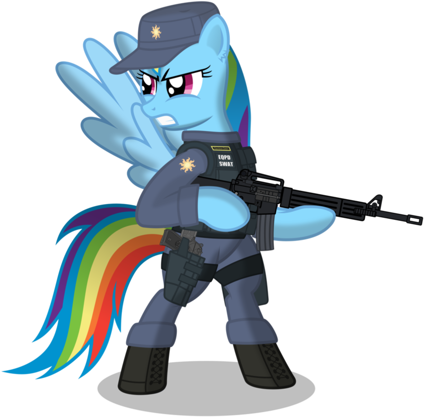 Rainbow Dash Eqpd Swat By Dolphinfox - My Little Pony Swat (894x894)