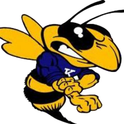 Hornets - Kirtland High School Logo (480x480)