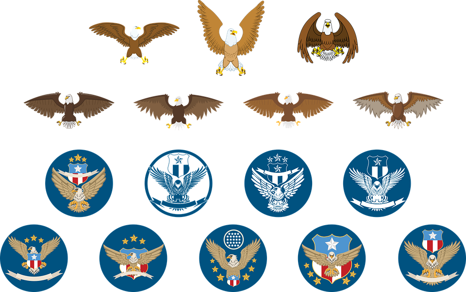 Military Eagle Cliparts エンブレム 鳥 960x603 Png Clipart Download
