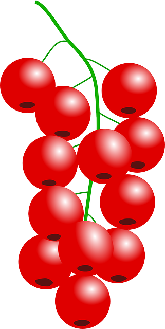 Red Berries Shower Curtain (321x640)