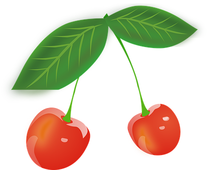 Cherry Fruits Red Berries Leaves Cherry Ch - Gambar Buah Cherry Merah (414x340)