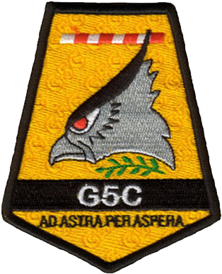 Los Sas Eliminaron Varios Puestos De Observación En - Grupo 5 De Caza (320x443)