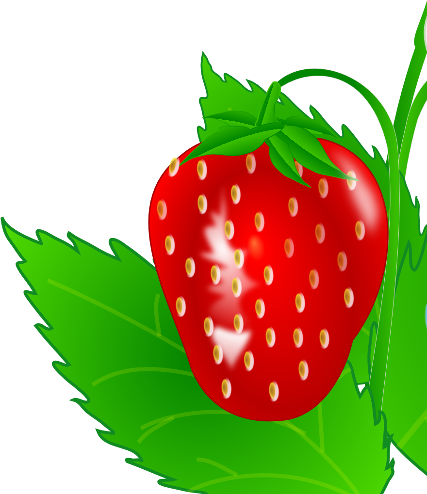 Food - Leaf (879x1062)