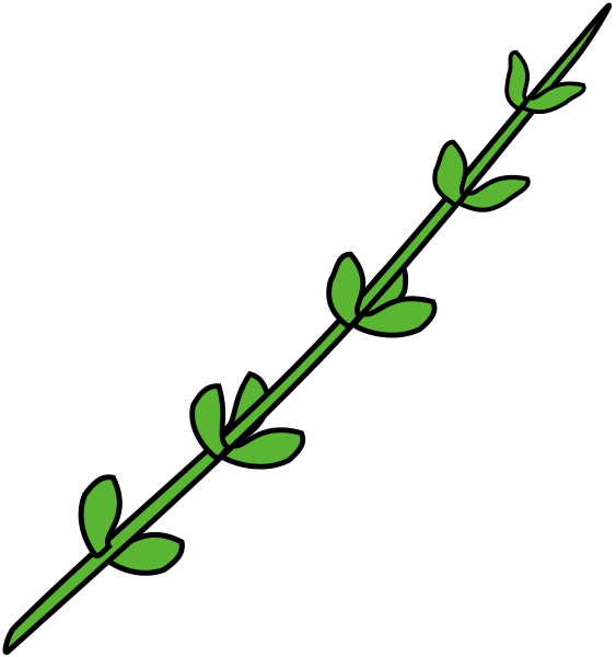 Special Air Service Wikipedia - Wikimedia Commons (563x600)