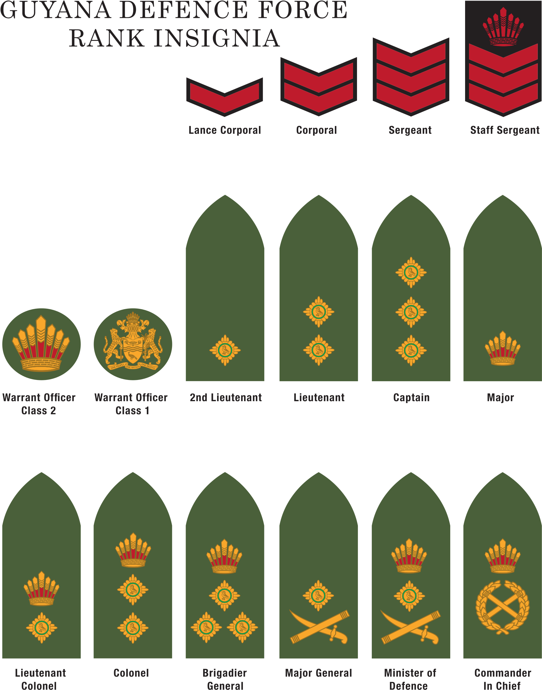 Американские погоны